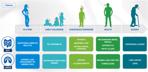 milk kefir protein and air pollution