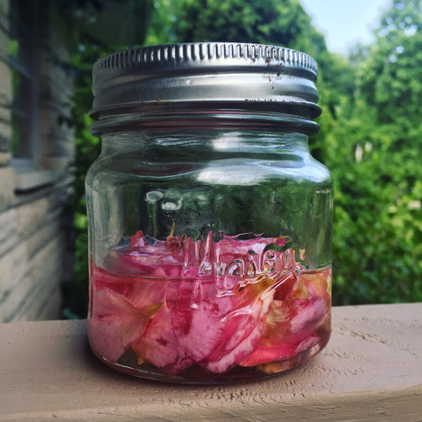 how to make rose damascena oil