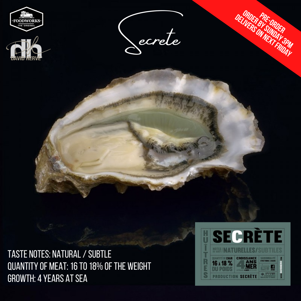 ouvre huitres  Oysterolaser by Oystercare