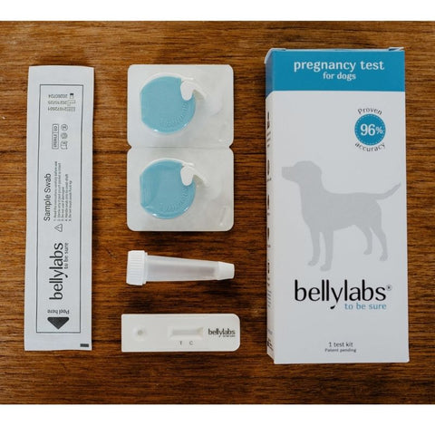 bellylabs pregnancy test for dogs