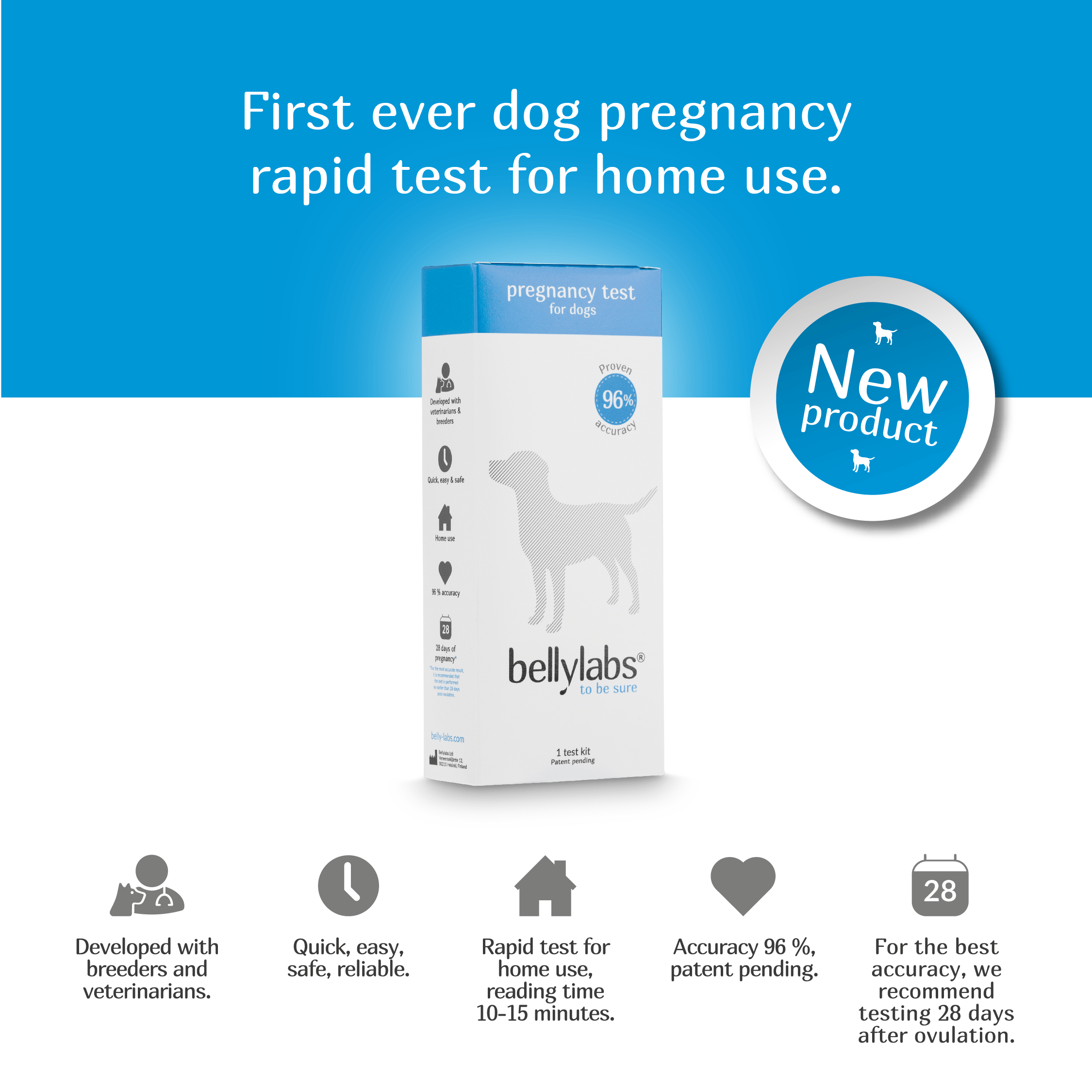 can dogs take at home pregnancy tests