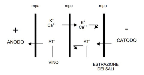 come fare vino analcolico