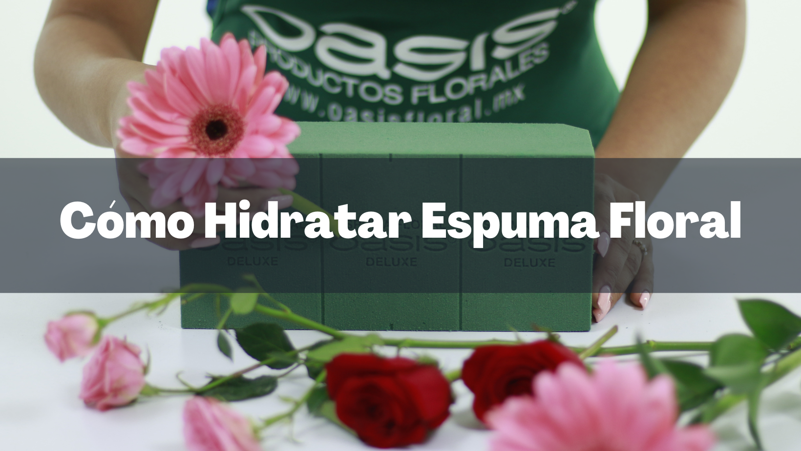 Cómo Hidratar Espuma Floral