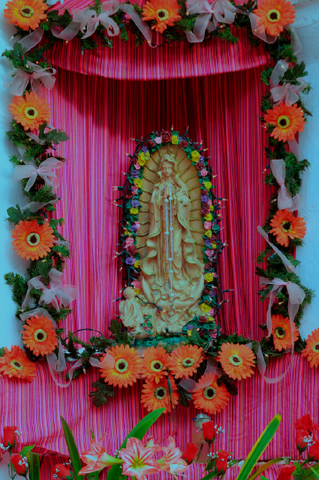 Día de la Virgen de Guadalupe, un día especial para millones de creyen