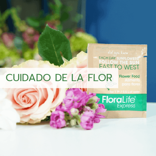 Letras de flores naturales preservadas: lo último de flors & GO! - flors &  GO!