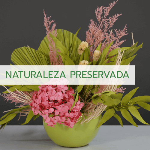 Productos profesionales para la floristeria - OASIS® Floral Products –