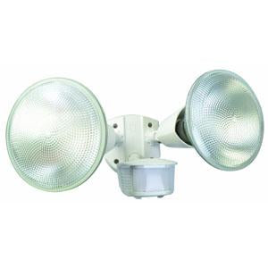 240 volt security light