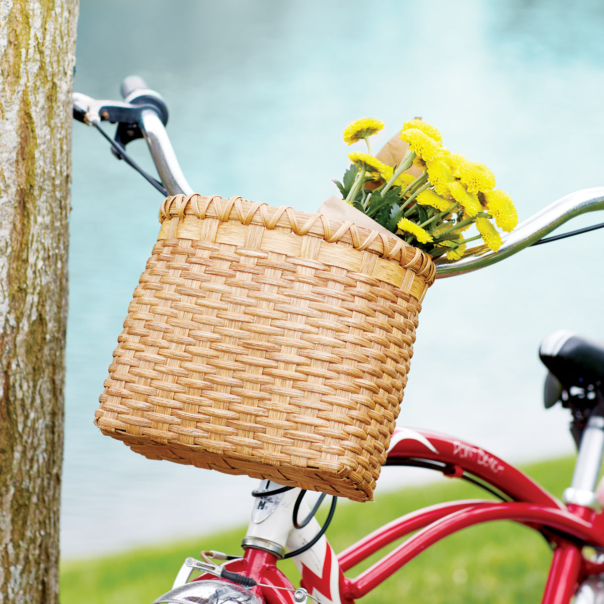 state bicycle basket