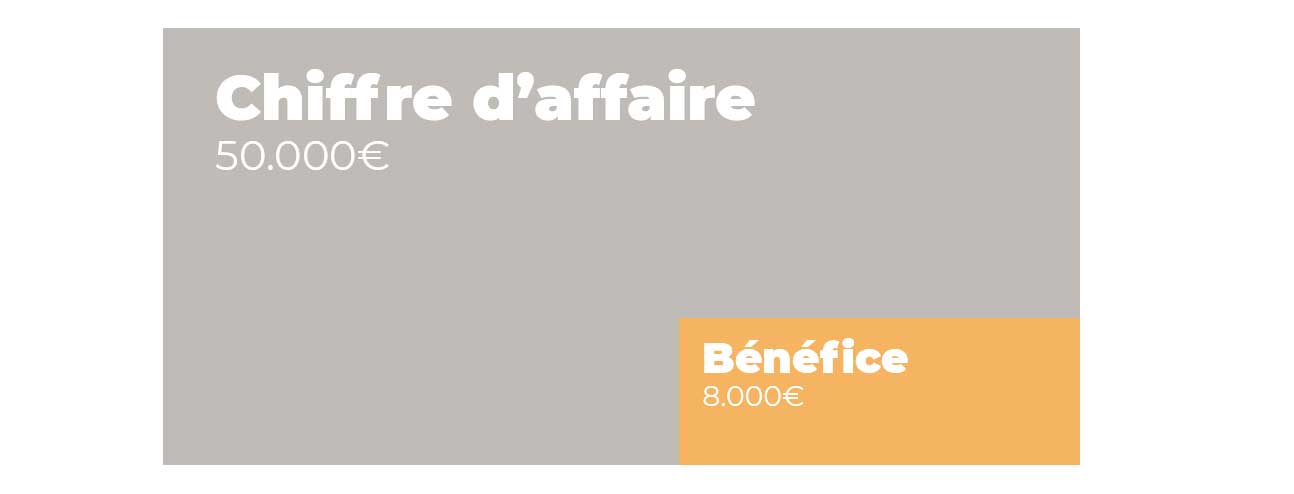 Chiffre d'affaire et bénéfice