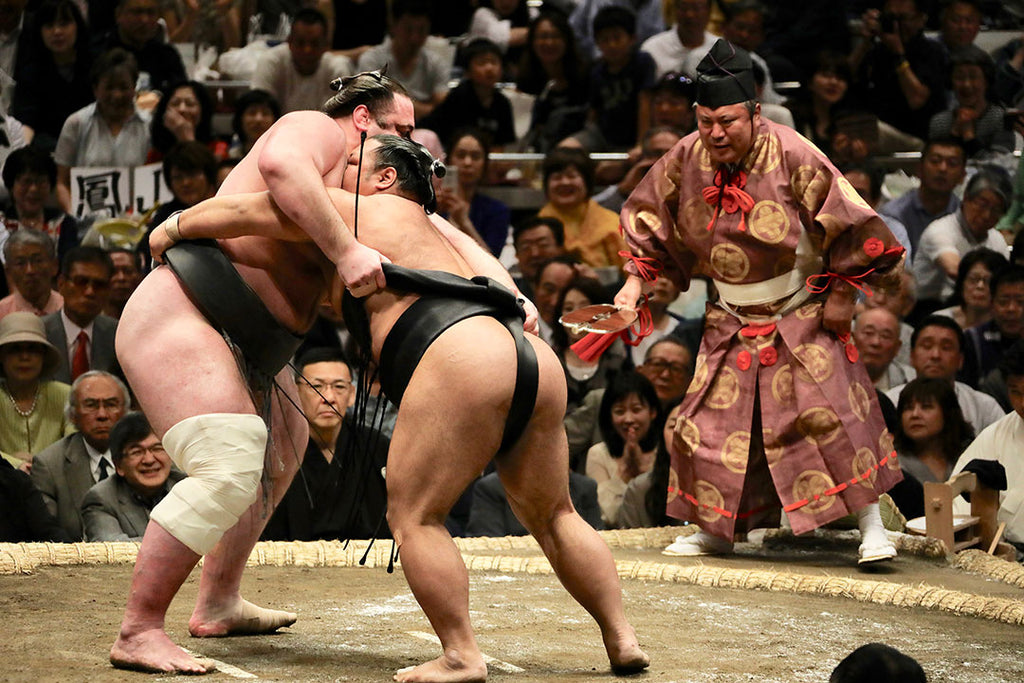 sumo-fight