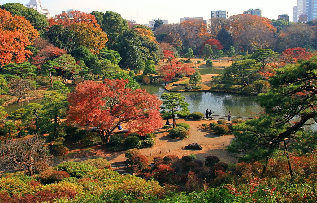 garden-of-chinzan-so