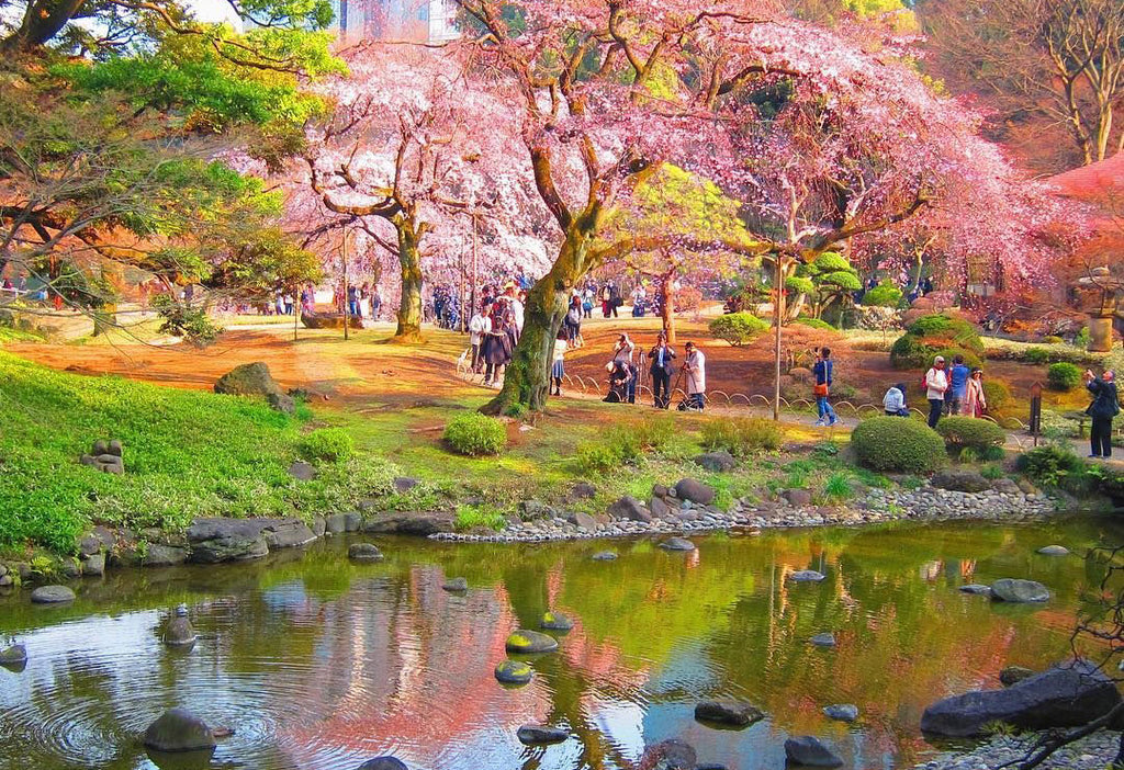 garden-of-koishikawa-koraku-en