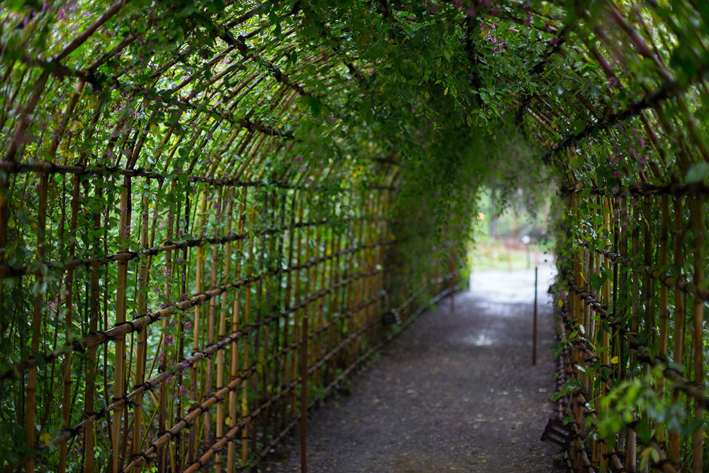 garden-of-mukojima-hyakkaen