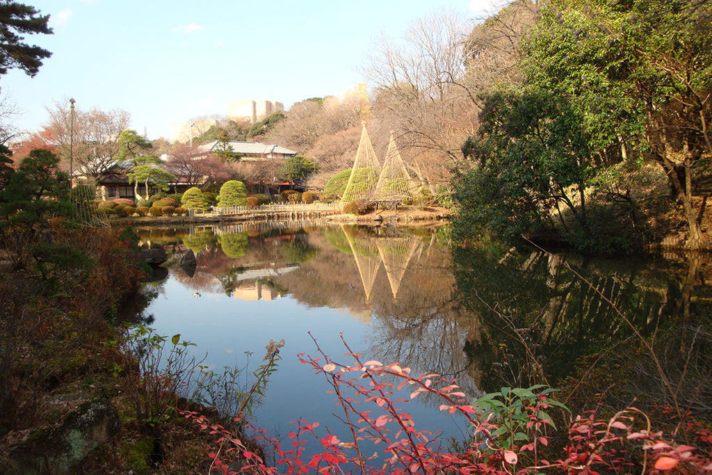 garden-of-shin-edogawa