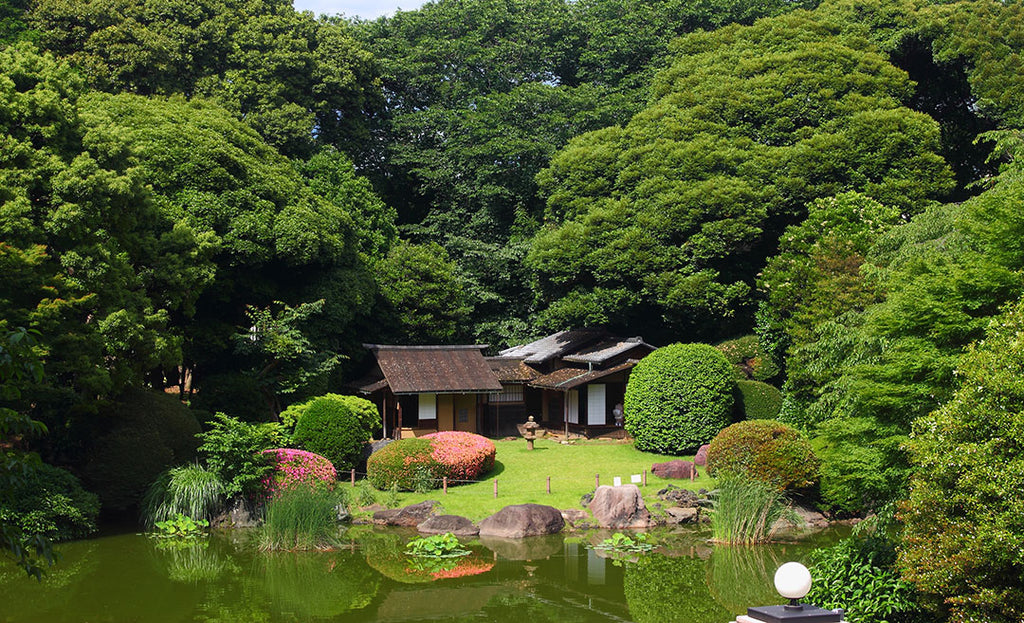 garden-of-the-national-museum-of-tokyo