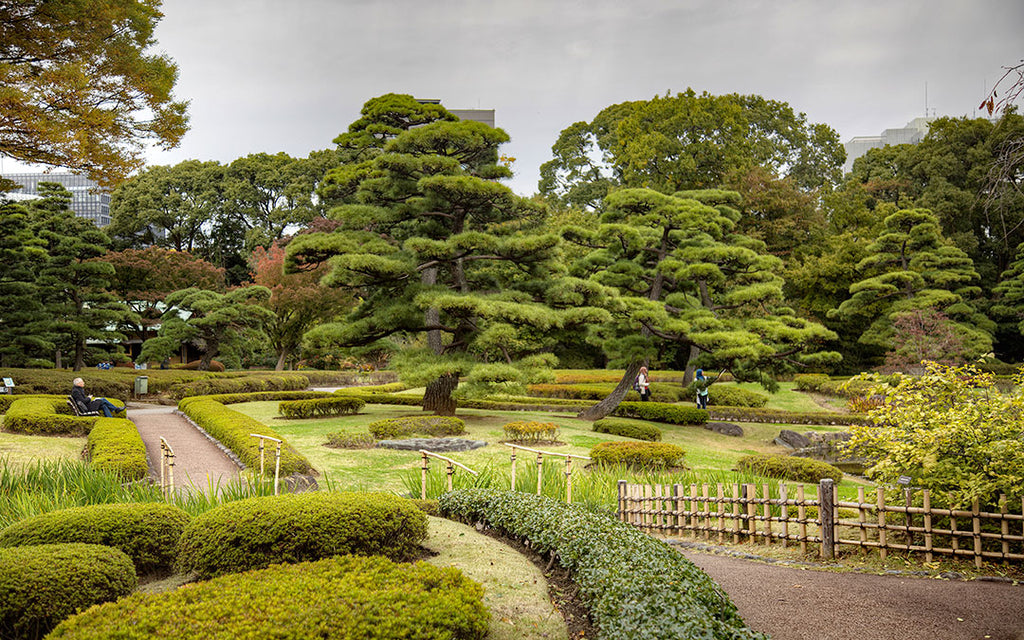 jardin-est-du-palais-imperial-japonais