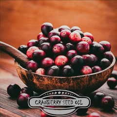 Cranberry Seed Oil