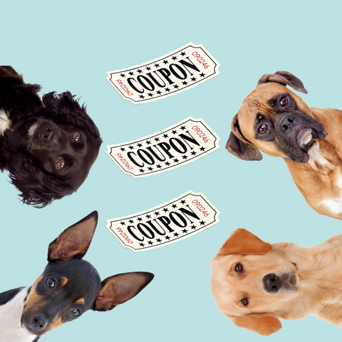 een reeks honden die de kijker aankijken met coupons ertussen