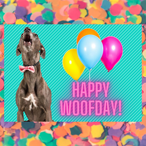 Happy Woofday-kaart
