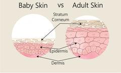 infographic on the difference between baby skin and adult skin 