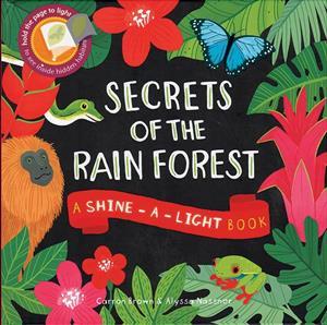 shine-a-light book for kids