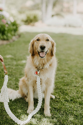 Spiral Knot Macrame Dog Leash - Kariella