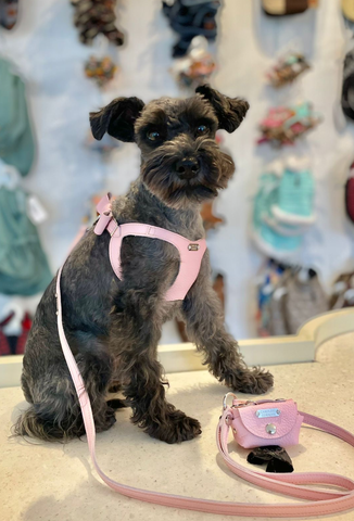 Dog harness leather with Swarovski Osaka pink