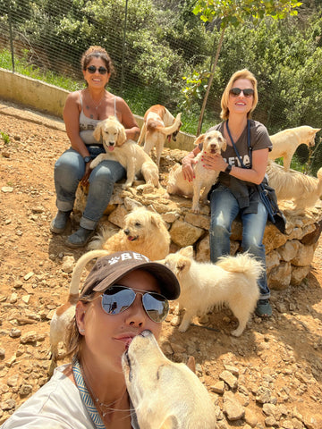 Nina Asseily, Mitarbeiterinnen und mehrere Hunde im Tierheim im Libanon