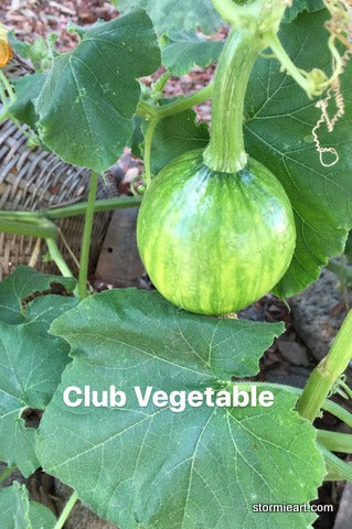 chef e club vegetable