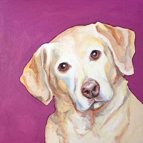 Dog Portfolio – Paint of Heart Pets