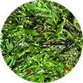 Wakame