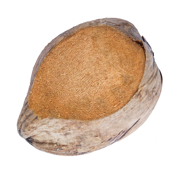 Coconut Shells - Halved and Shaved – Beach Harvest Australian Coconuts