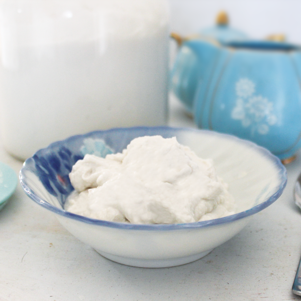 The Easiest Homemade Coconut Cream Yoghurt Recipe Luvele Es