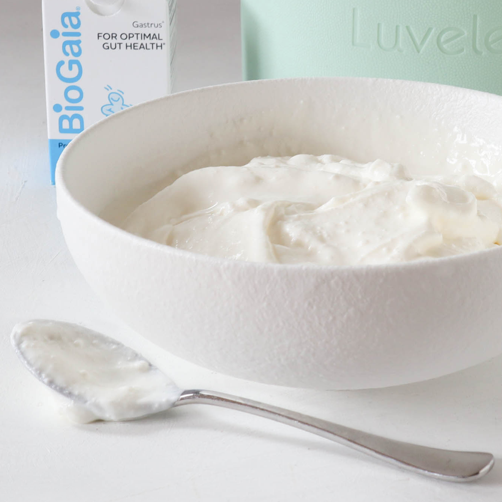 How To Make L Reuteri Yoghurt Luvele Es