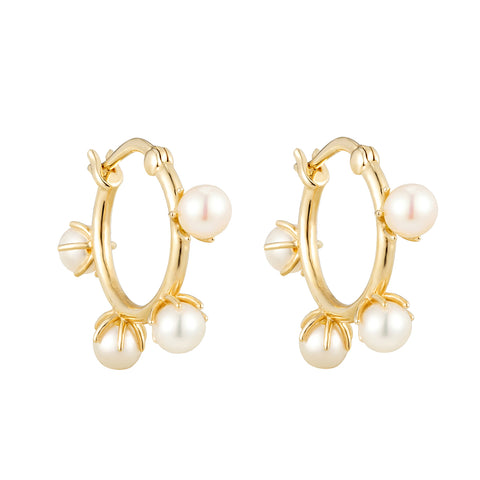 solid gold pearl claw creole hoops - seol gold