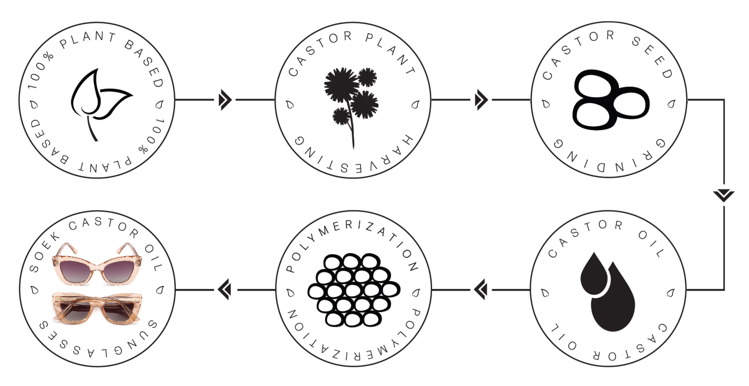 Castor Seeds Sunnies - Process Diagram