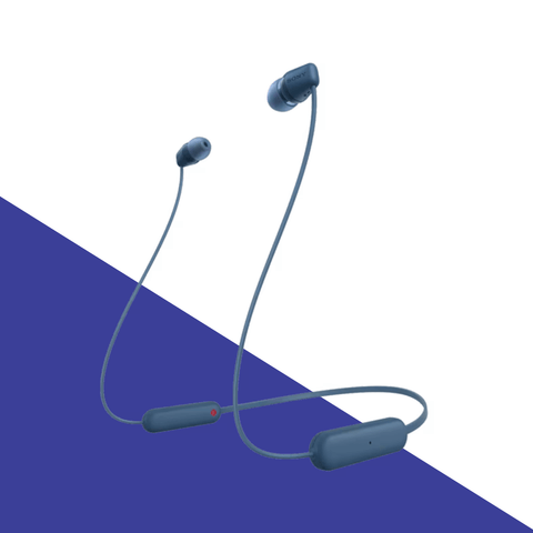 Sony In-Ear Headphones