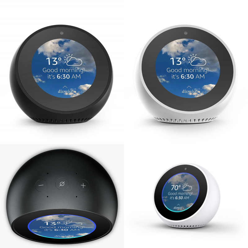 echo spot 1