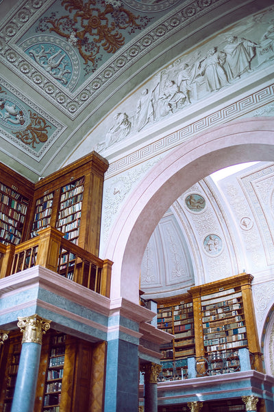 An interior of an old palace with bas relief walls and bookcases