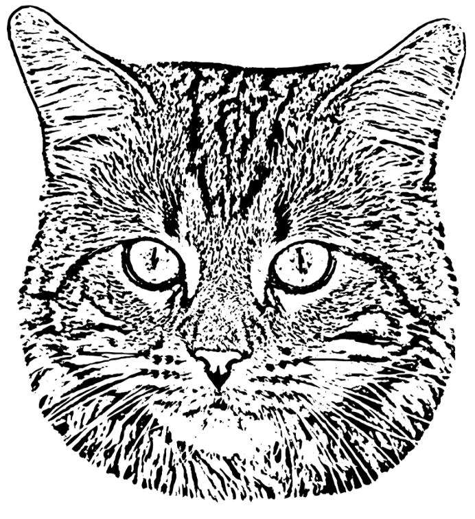 Circular Image