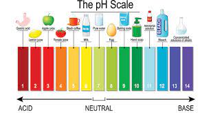 Rainbow colored illustration of the pH scale with examples