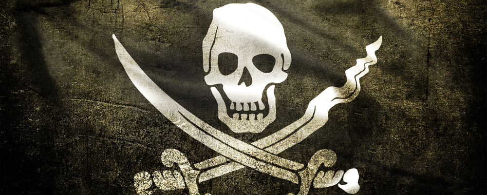 Drapeau de pirate – Bannière d'extérieur en nylon Jolly Roger de 91 x 152  cm avec broderie double face avec crâne et épées (style calico jack)