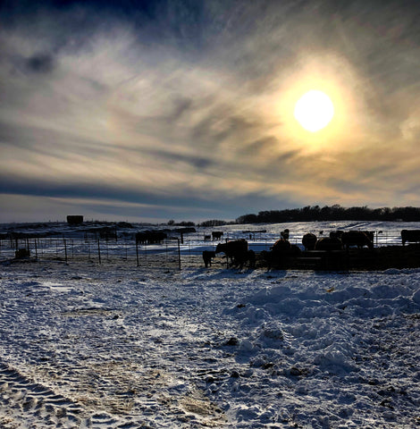 Winter on a Family Farm