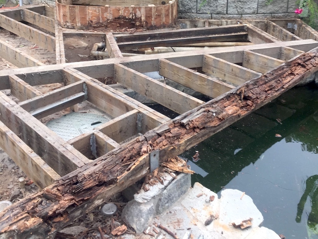 Deck over koi pond with dry rot