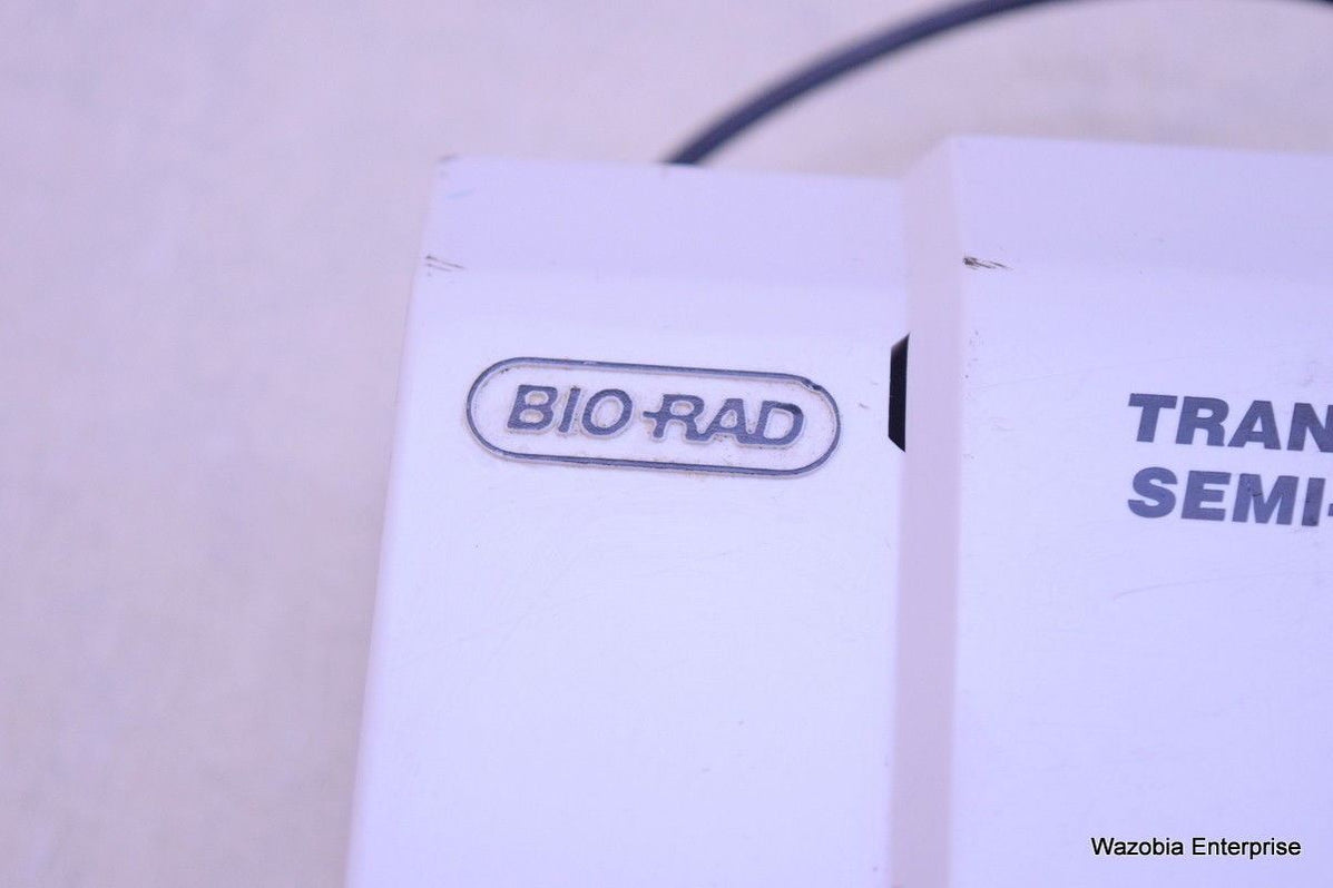 bio rad western blot trans blot semi dry