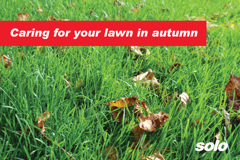 caring for your lawn in autumn