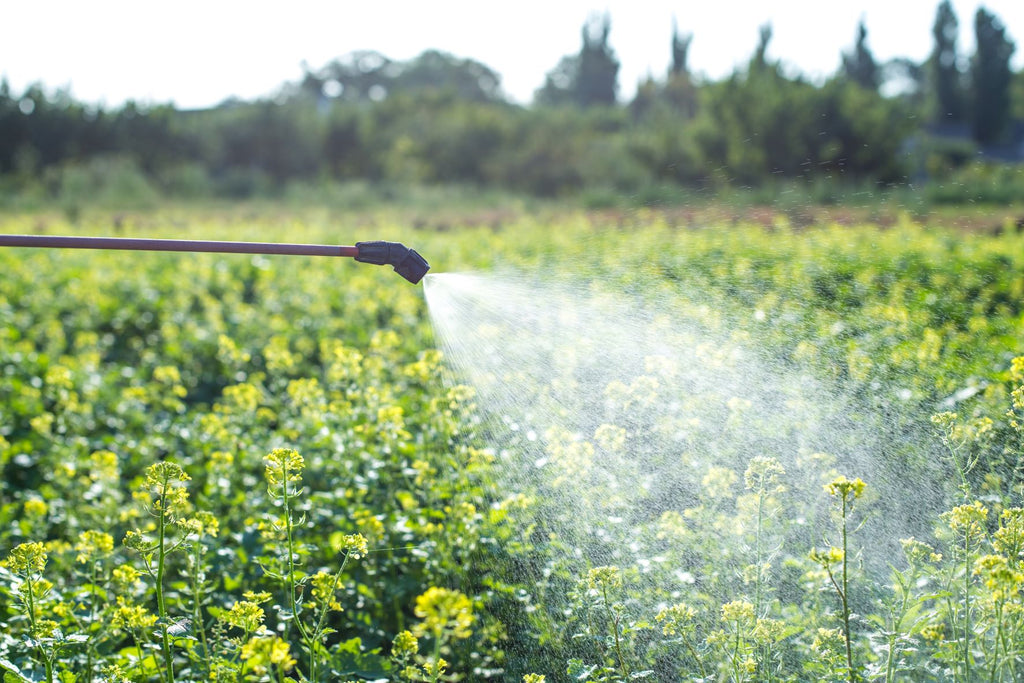 Solo's commonsense guide to spraying - weed spraying