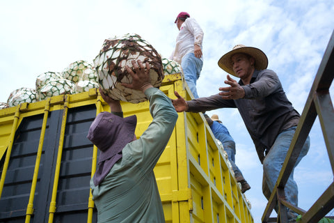 Loading hearts into truck