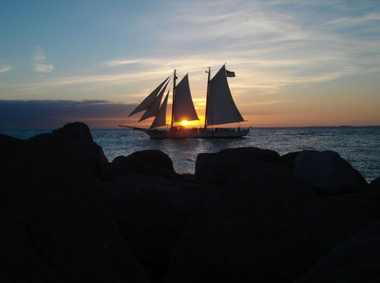 sailing on the sunset