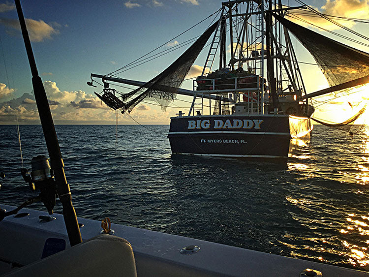 big daddy shrimp boat